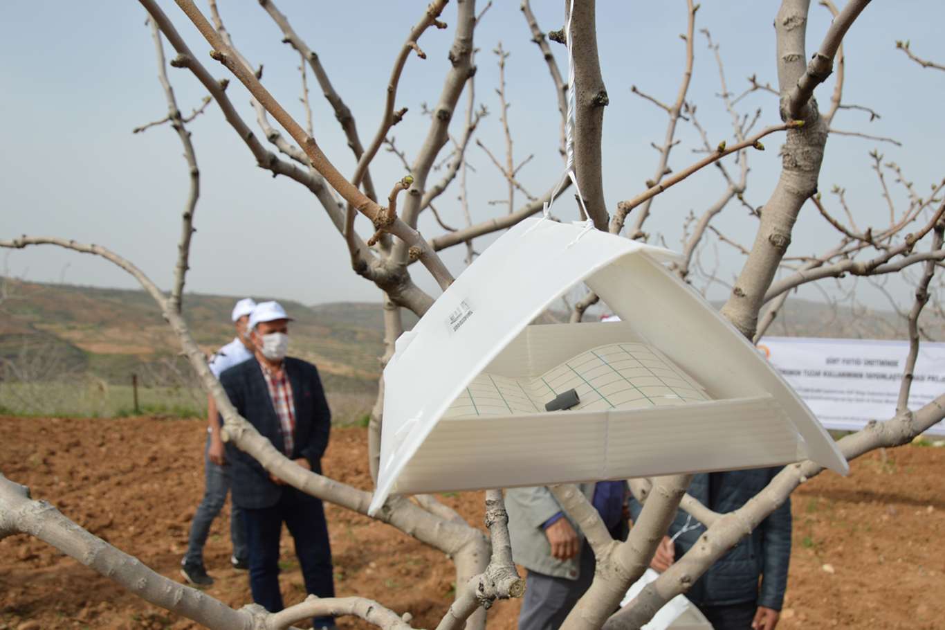 Fıstık üreticilerine 2 bin 295 adet feromon tuzaklama dağıtıldı